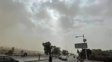 تحذير لمرتادي الطرق.. الأرصاد تعلن تفاصيل موجة الأمطار والشبورة ليوم السبت 17 يناير